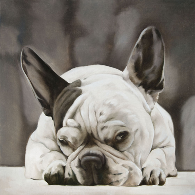 chien bulldog français -peinture sur toile