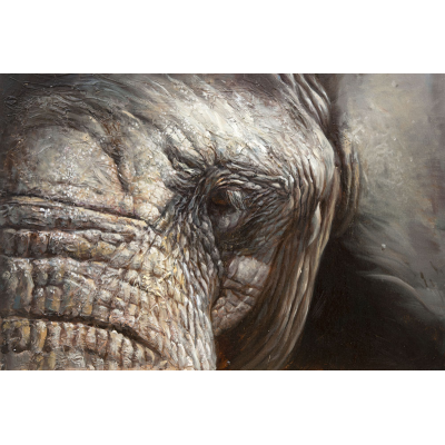 peinture de portrait d'éléphant