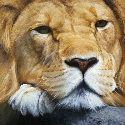 peinture de portrait de lion